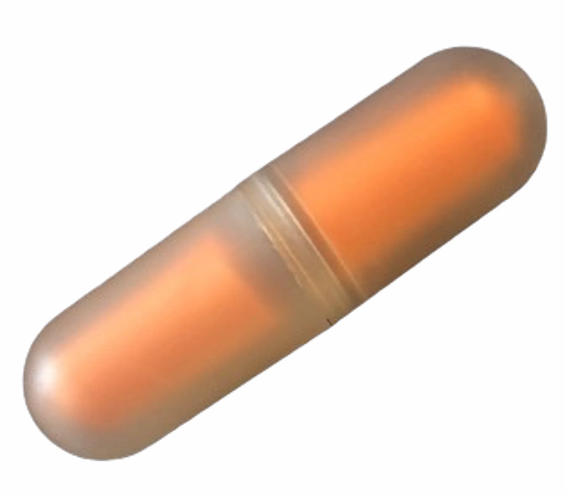 Earplugs with snap case